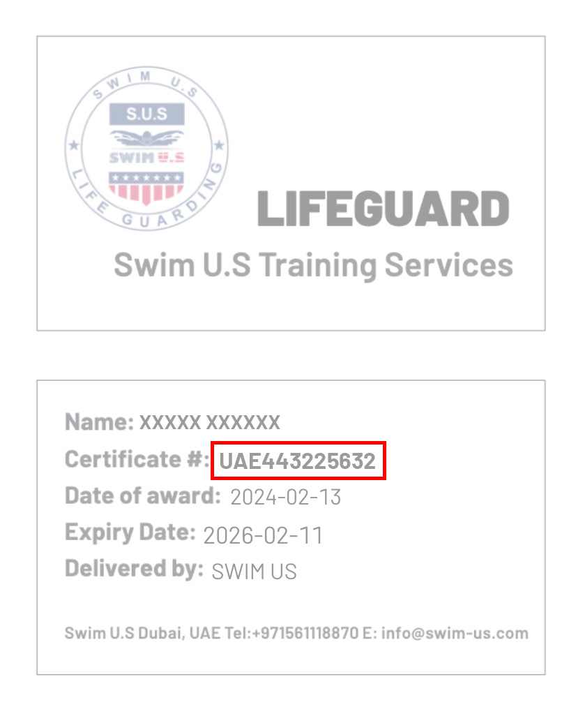 A lifeguard certificate for swim training services.